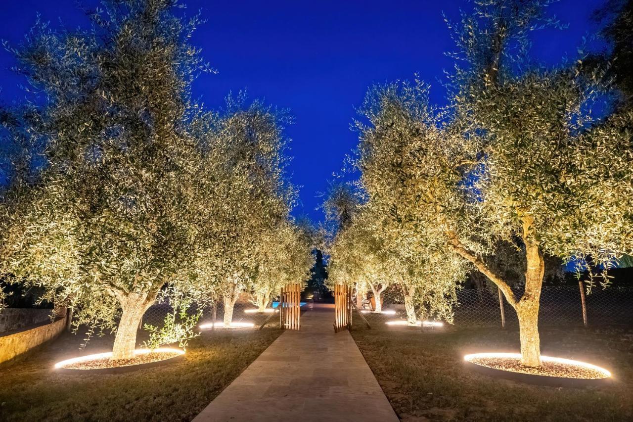 Agriturismo Canale Peccioli Ngoại thất bức ảnh